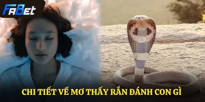 Chi tiết về mơ thấy rắn đánh con gì