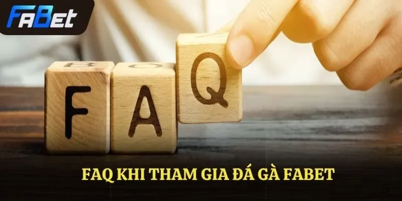 FAQ khi tham gia đá gà FABET